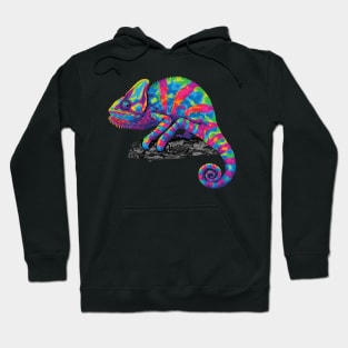 Rainbow Chameleon Hoodie